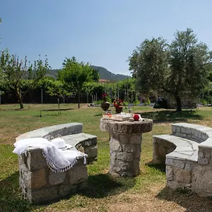 Tsitreli Apartament